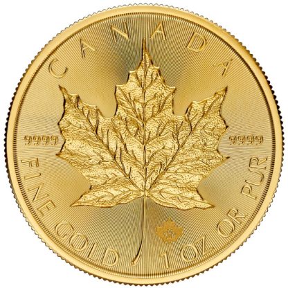 Złota moneta 1 oz Kanadyjski Liść Klonowy 2024 rewers
