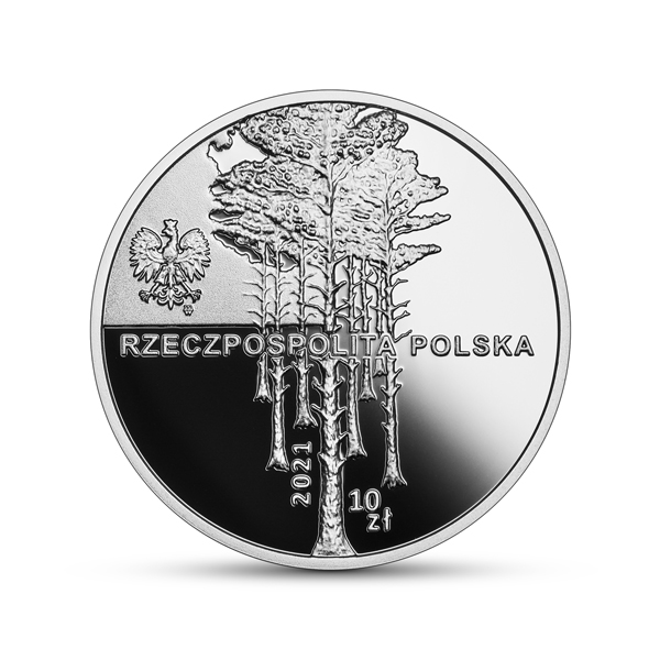 10 zł Zbrodnia w Piaśnicy srebrna moneta awers