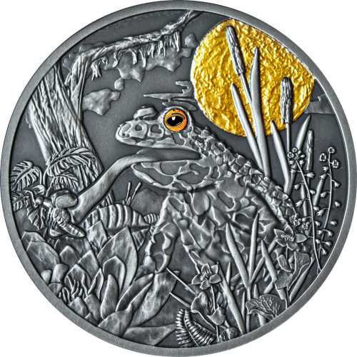 Srebrna moneta 500 CFA Żaba, Seria: Nocni łowcy rewers - GoldBroker.pl