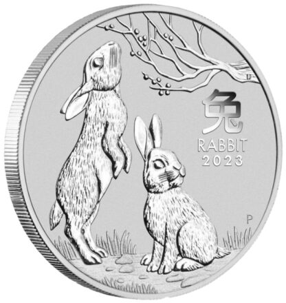 Srebrna moneta bulionowa 1 oz Lunar III Rok królika rant - GoldBroker.pl