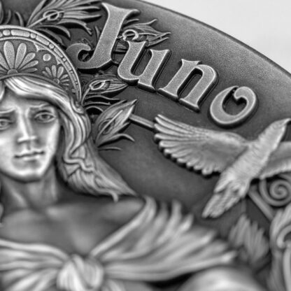 Srebrna moneta 5 $ Hera i Junona detale