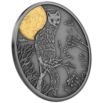 Srebrna moneta 500 CFA Kuna, Seria: Nocni łowcy rant