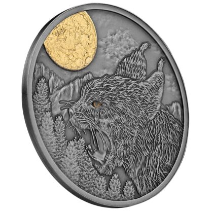 Srebrna moneta 500 CFA Ryś, Seria: Nocni łowcy rant