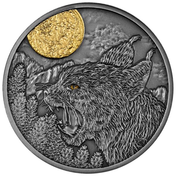 Srebrna moneta 500 CFA Ryś, Seria: Nocni łowcy rewers