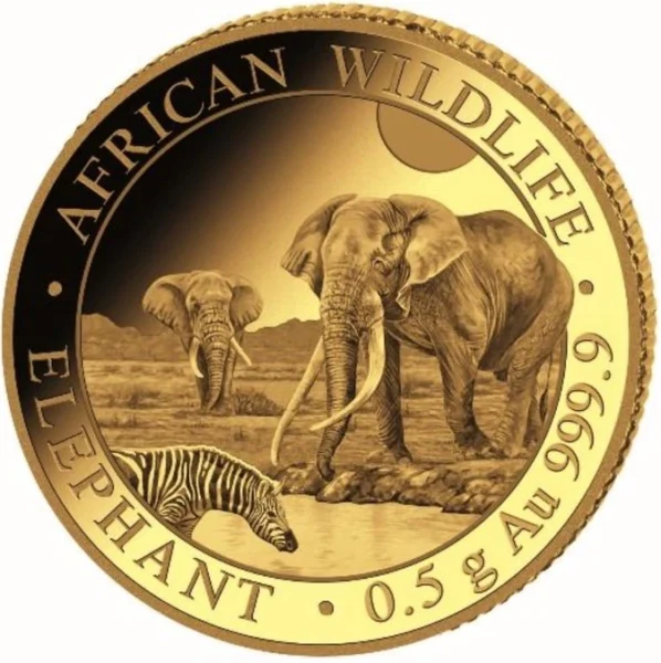 0,5 g, Słoń, Seria: African Wildlife, Złota moneta 2026